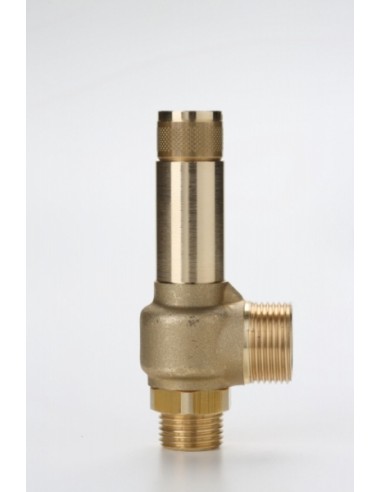 Safety Valves Piped Discharge - D10/C | Nuova