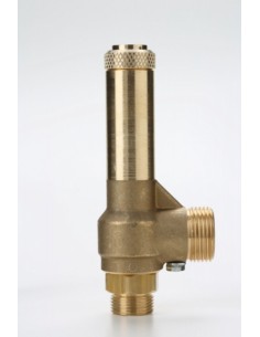 Piped Discharge Nuova - Piped Discharge Safety Valves - G14