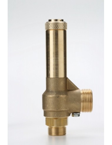 Piped Discharge Nuova - Piped Discharge Safety Valves - G14