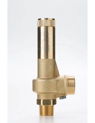 Piped Discharge Nuova - Piped Discharge Safety Valves - G20