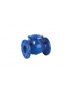 Swing Genebre - Swing Check Valve - 2455