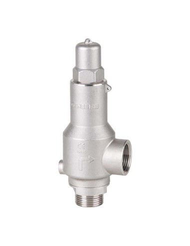 Safety Valves & Pressure relief Valves ASME - 2252N | Genebre