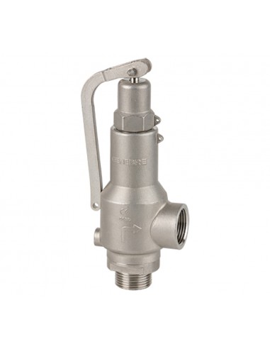 Safety Valves & Pressure relief Valves - 2253 | Genebre