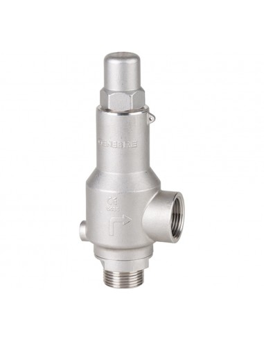 DIN Genebre - Safety Valves & Pressure relief Valves - Pressure relief valve - 2258