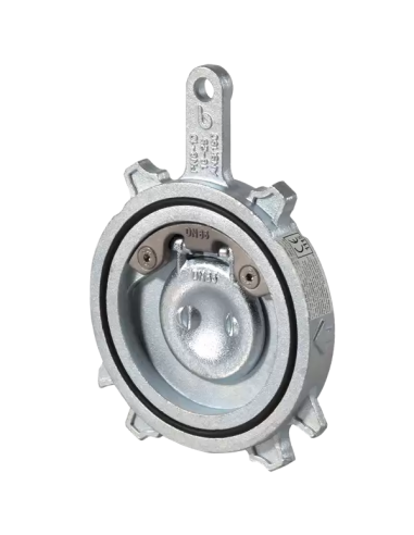 Swing Brandoni - Swing Check Valve - 06-M6