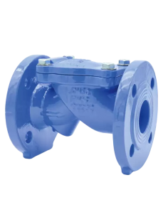 Swing Brandoni - Swing Check Valve - S6