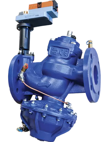 Pressure Regulating Valves Brandoni - Regulation balancing Valve - Ekoflux PI