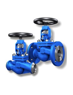 Gland Seal Corex - Globe valve - V30.1 CRX PN40