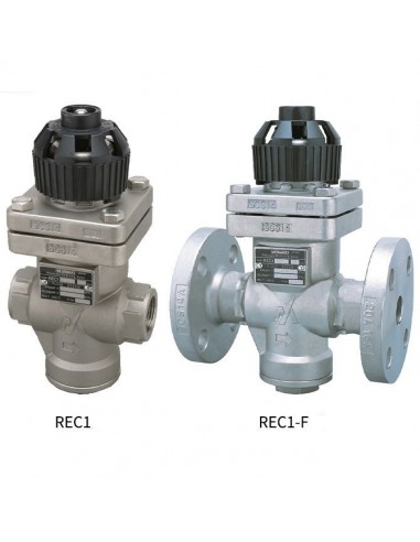 Pressure reducing valve - Direct Acting for steam - REC1 | Miyawaki