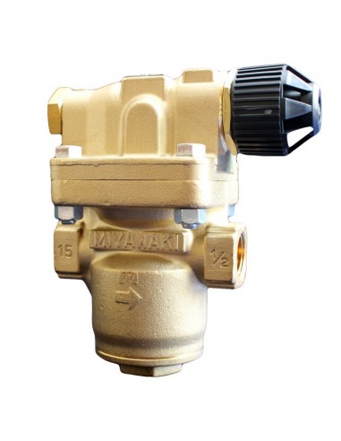 Pilot Operated Miyawaki - Pressure reducing Valve - Pilot Operated for steam - RE3