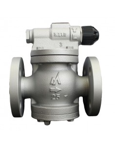 Pilot Operated Miyawaki - Pressure reducing Valve - Pilot Operated for steam - RE10N