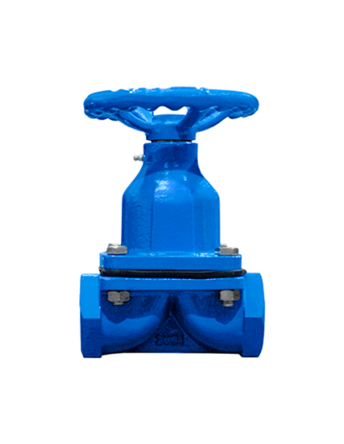 Diaphragm Valves Zubi - Diaphragm valve - T99