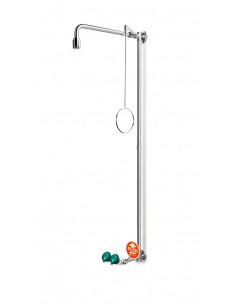 Ντους Ασφαλείας - Συνδυασμοί B-Safety - PremiumLine - stainless steel, wall mounted, with safety eye shower - BR 861 095