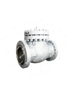 Swing Neway - Swing Check Valve - Cast Steel