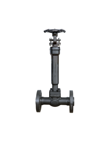 Globe Valve Bellow Seal - Forged Steel | Neway