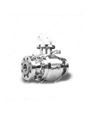 Ball Valve for Pig Launching and Receiving | Neway