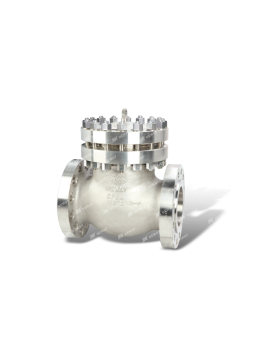 Swing Neway - Swing Check Valve - Cryogenic