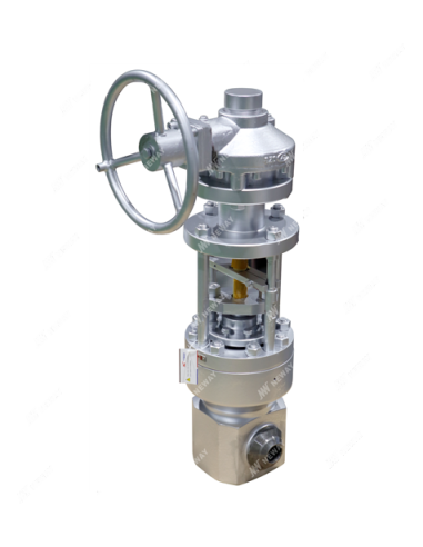 Gland Seal Neway - Globe Valve - Conventional Power Plant Valve