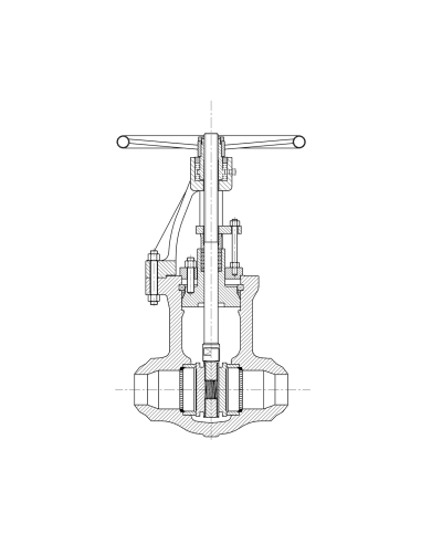 Gate Valves Valvosider - Gate Valve - Pressure Seal - Parallel Slide - ASME