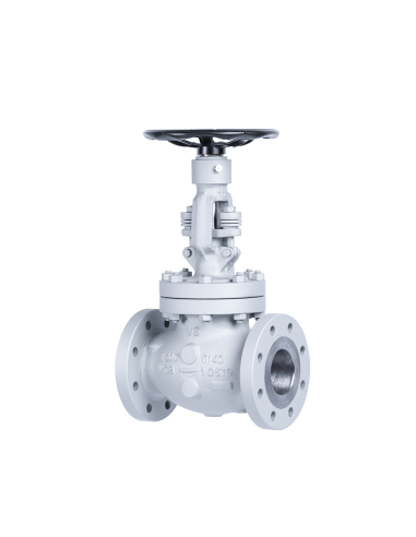 Gland Seal Valvosider - Globe Valve Bolted Bonnet - ASME