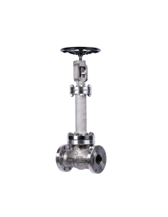 Gland Seal Valvosider - Cryogenic Globe Valve - ASME