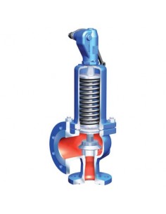 DIN ARI - Safety valve - SAFE