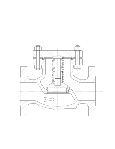 Piston Valvosider - Piston Check Valve - ASME