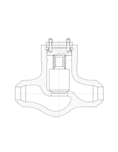 Piston Valvosider - Lift Check Valve Pressure Seal 'straight' - ASME