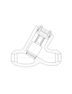 Piston Valvosider - Lift Check Valve Pressure Seal 'Y' Pattern - ASME