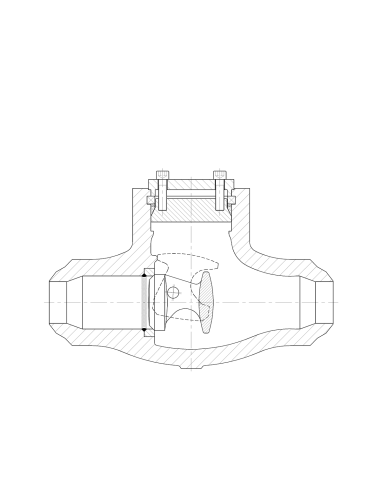 Tilting Disc Valvosider - Tilting Disc Check Valve Pressure Seal - ASME