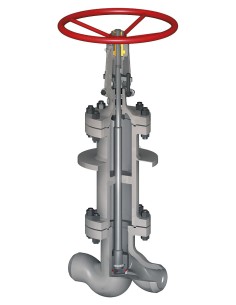 Gland Seal Fluitek - Globe Valves - Extended Bolted Bonnet for Cryogenic Service