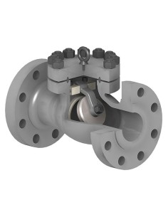 Swing Fluitek - Swing Check Valve - Bolted Bonnet