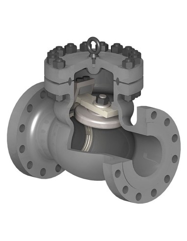 Swing Fluitek - Swing Check Valve - Piggable Bolted Bonnet