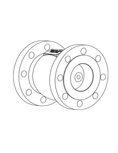 Piston Cast Flow - Axial Check Valves