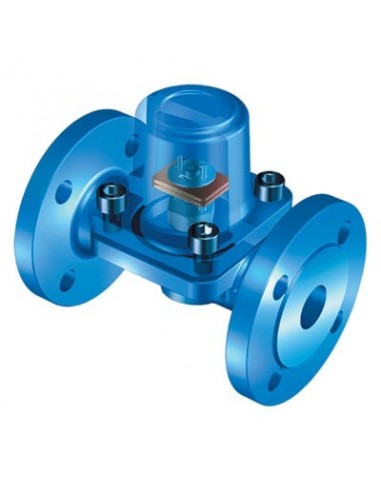 Automatic Condensate Drain Valves ARI - Liquid Drainer