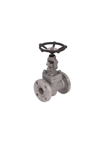 Forged globe valve Class 150/300 - G150/300 | ICP Valves