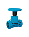 Diaphragm Valves