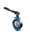 Butterfly Valves